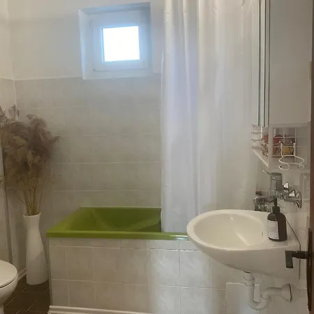 Angelina Vikendica *