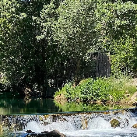 Angelina Vikendica Capljina